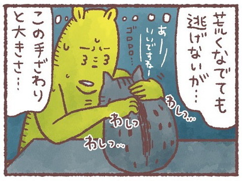 「深夜の謎猫ショー」