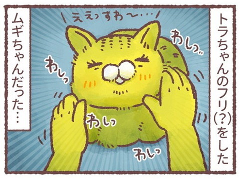 「深夜の謎猫ショー」