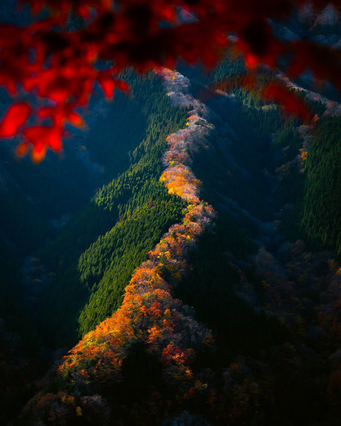 紅葉の“昇り龍”　奈良の秘境写真に「息を呑むとはこのこと」など感動の声