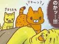 「猫は薄情っていうけど…」　寂しい夜に添い寝をしてくれる猫ちゃんを描いた漫画にほっこり