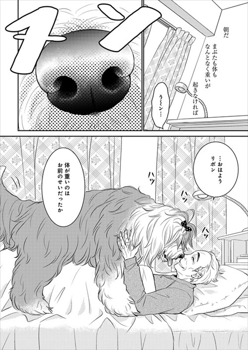 犬の漫画