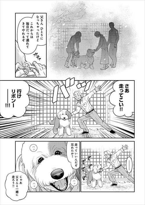 おじさんと老犬の話