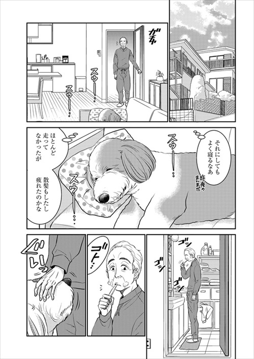 おじさんと老犬の話