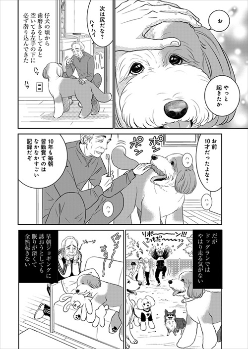 おじさんと老犬の話