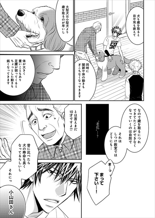 おじさんと老犬の話