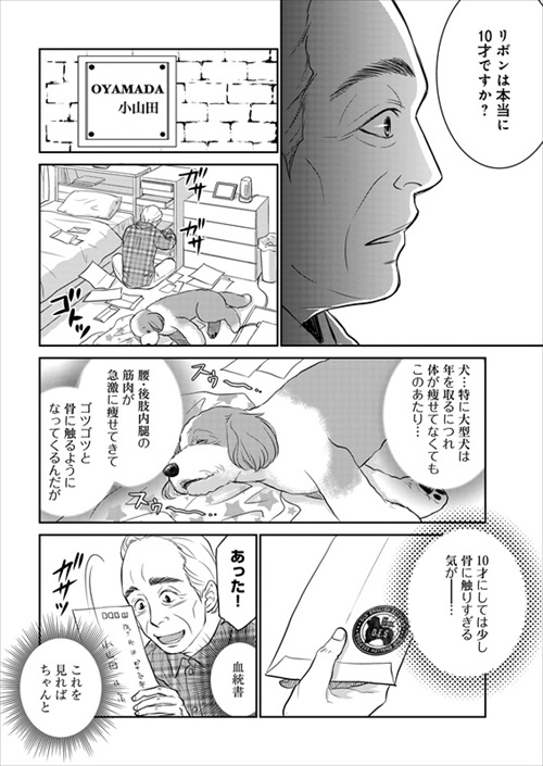 おじさんと老犬の話