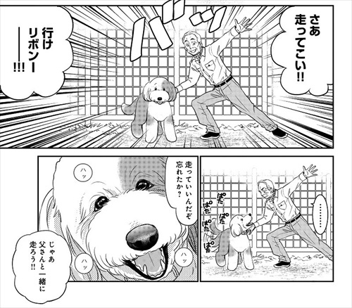おじさんと老犬の話