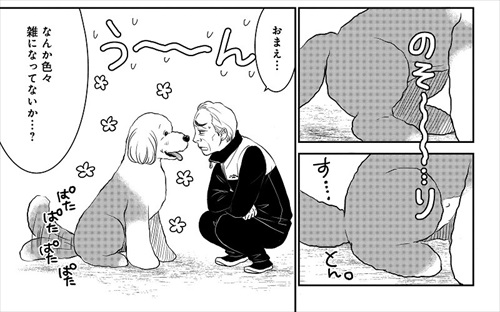 おじさんと老犬の話