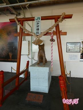 渋谷駅前 青ガエル 大館 秋田犬 鶏めし