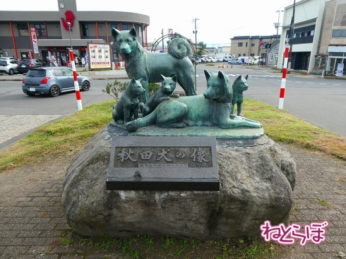 渋谷駅前 青ガエル 大館 秋田犬 鶏めし