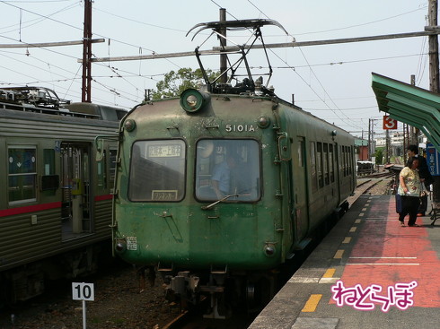 渋谷駅前 青ガエル 大館 秋田犬 鶏めし