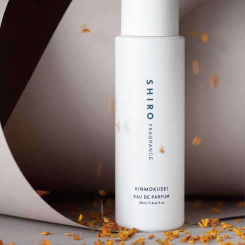 キンモクセイ再販