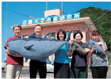 実物大 マグロクッションカバー デカァァァァァい！ フェリシモから実物大「マグロ」クッション