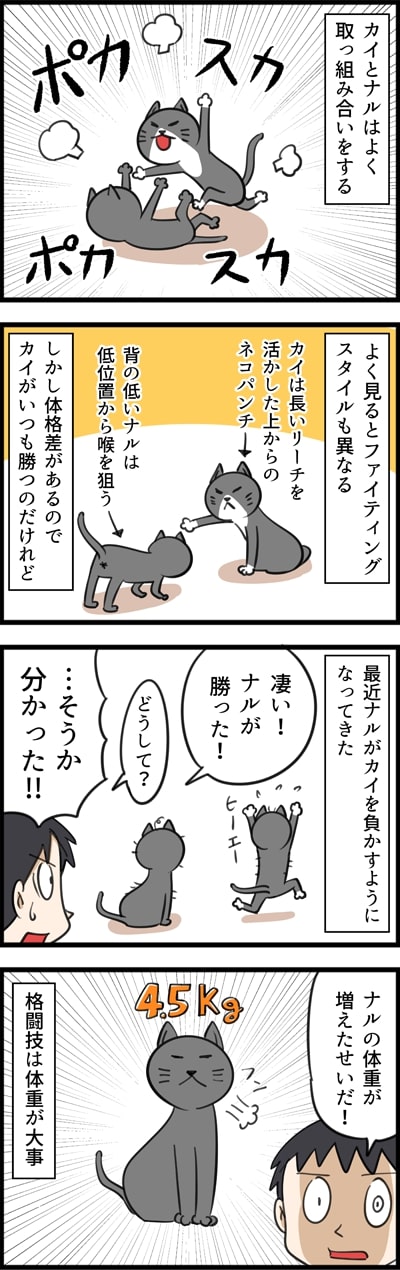 「カイとナルの兄弟げんかに最近変化が・・・」