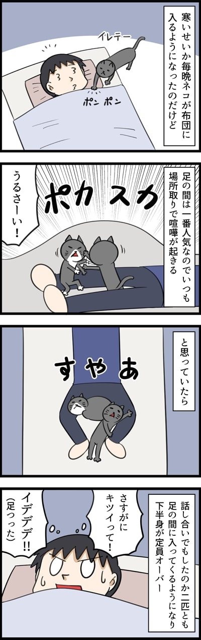 「布団に入るネコの場所取り事情」