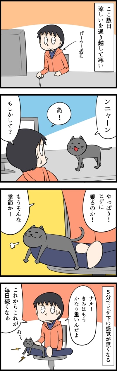 「今年もやってきたヒザ乗りネコ」