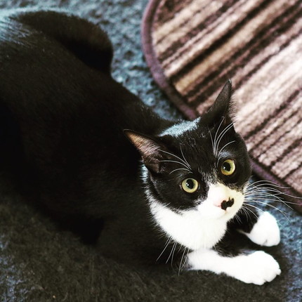 カイくんとナルちゃん