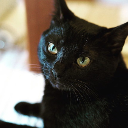 カイくんとナルちゃん