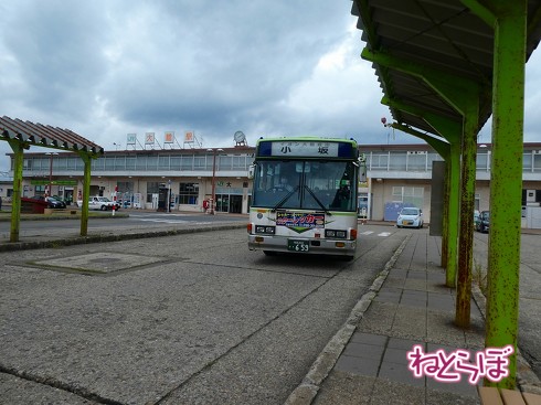 渋谷駅前 青ガエル 大館 秋田犬 鶏めし