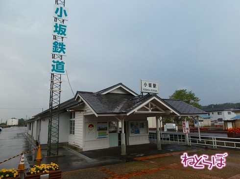 渋谷駅前 青ガエル 大館 秋田犬 鶏めし