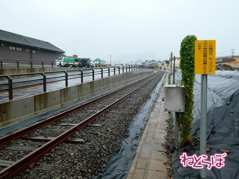 渋谷駅前 青ガエル 大館 秋田犬 鶏めし