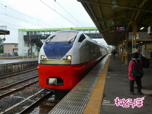 渋谷駅前 青ガエル 大館 秋田犬 鶏めし