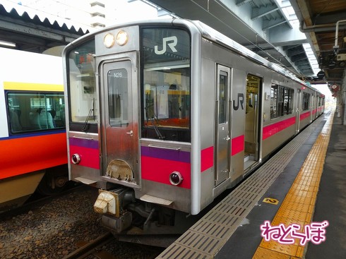 渋谷駅前 青ガエル 大館 秋田犬 鶏めし