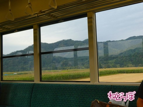 渋谷駅前 青ガエル 大館 秋田犬 鶏めし