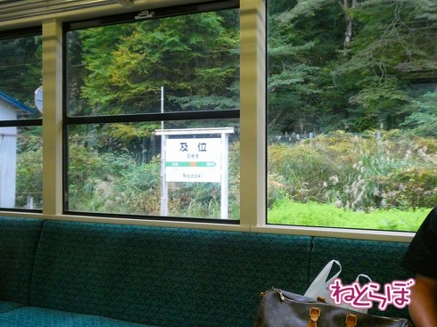 渋谷駅前 青ガエル 大館 秋田犬 鶏めし