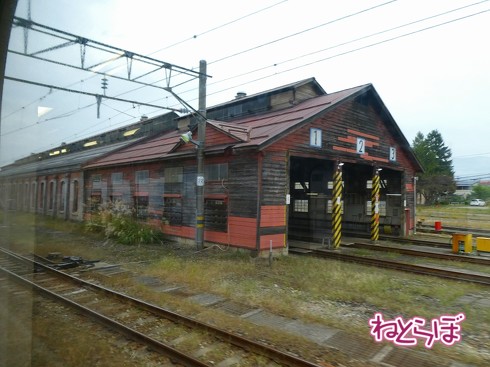 渋谷駅前 青ガエル 大館 秋田犬 鶏めし