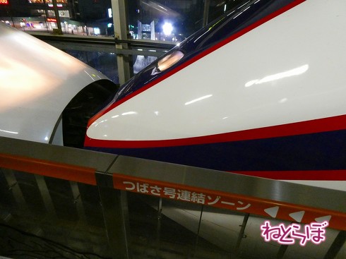 渋谷駅前 青ガエル 大館 秋田犬 鶏めし