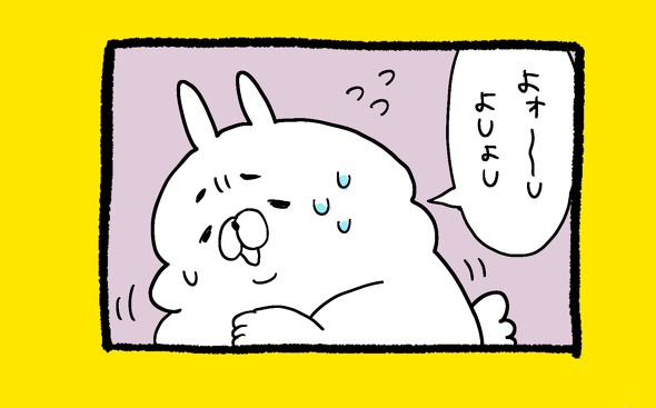 くまだよ