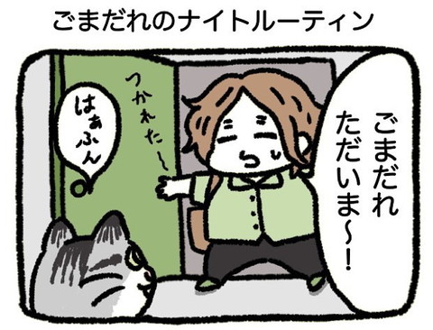「ごまだれのナイトルーティン」