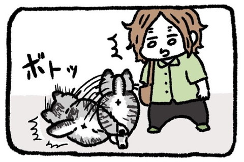 「ごまだれのナイトルーティン」