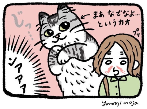 「ごまだれのナイトルーティン」