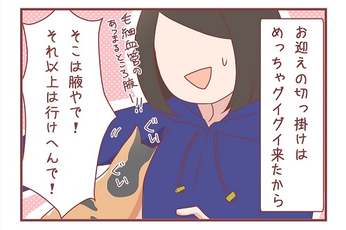 「新入り猫さんがやってきたよ」