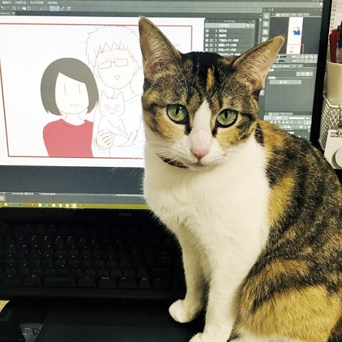 「新入り猫さんがやってきたよ」