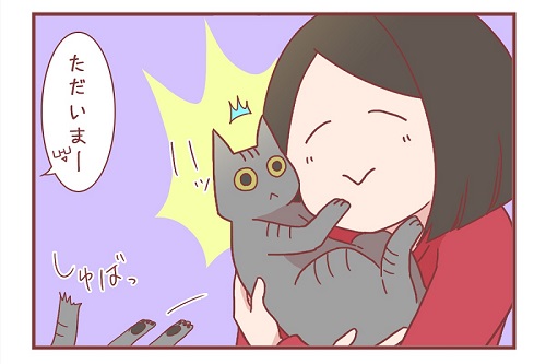 「新入り猫さんがやってきたよ」
