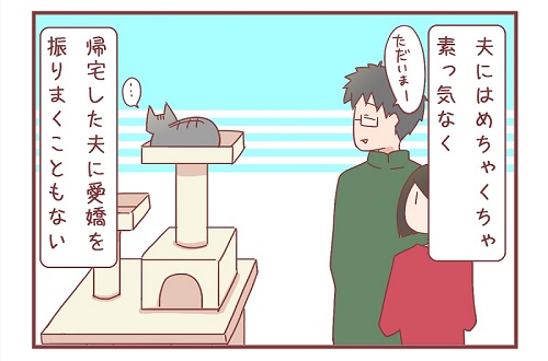 「新入り猫さんがやってきたよ」