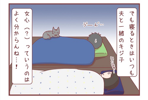 「新入り猫さんがやってきたよ」
