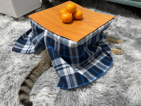 コタツとみにらくん