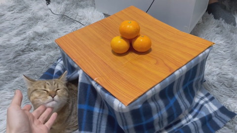 コタツとみにらくん