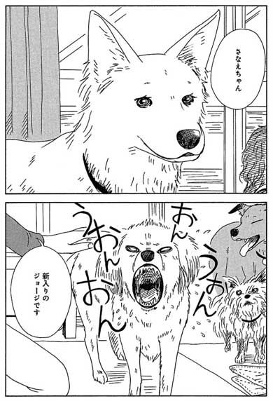 犬を飼う人 衿沢世衣子 漫画 保護犬 雑種 里親 犬好き