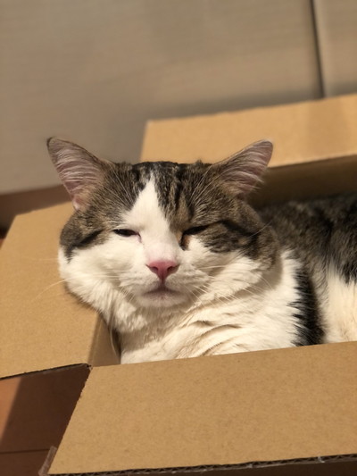 表情豊かなライちゃん