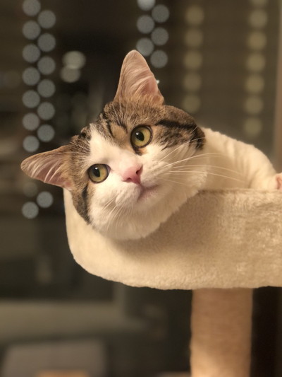 表情豊かなライちゃん