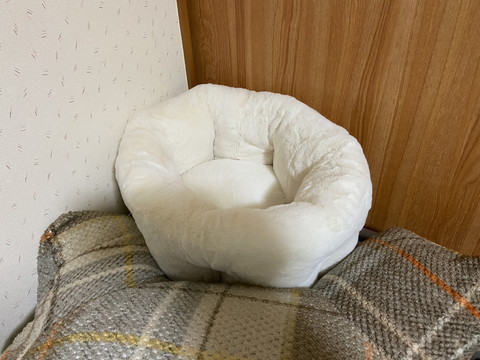 一体化したぷるるんくん