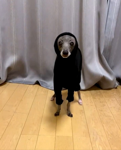 エジプトさん