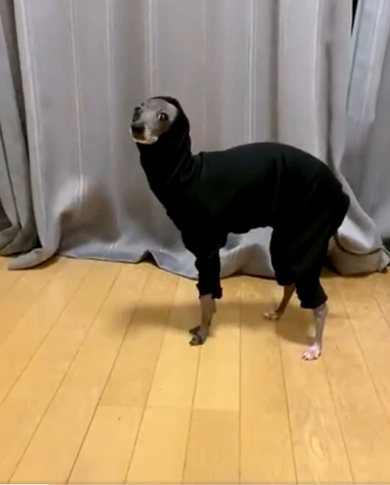 エジプトさん