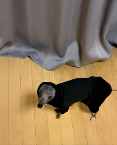 エジプトさん