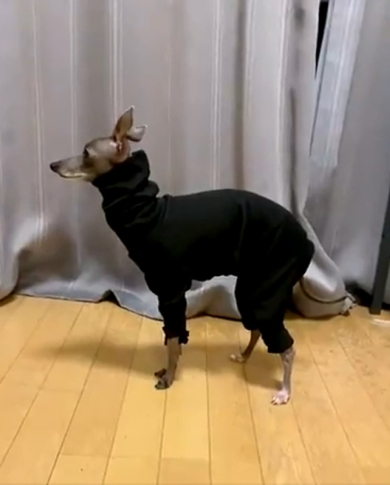 エジプトさん